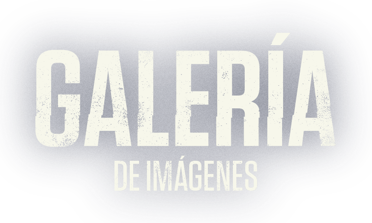 Galería de imágenes